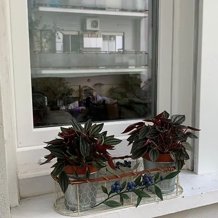 아파트 Casina Soleggiata *
